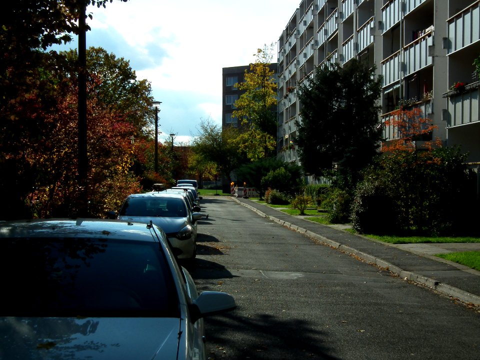 2020-10-24 Reichenauer Weg, Dresden 03