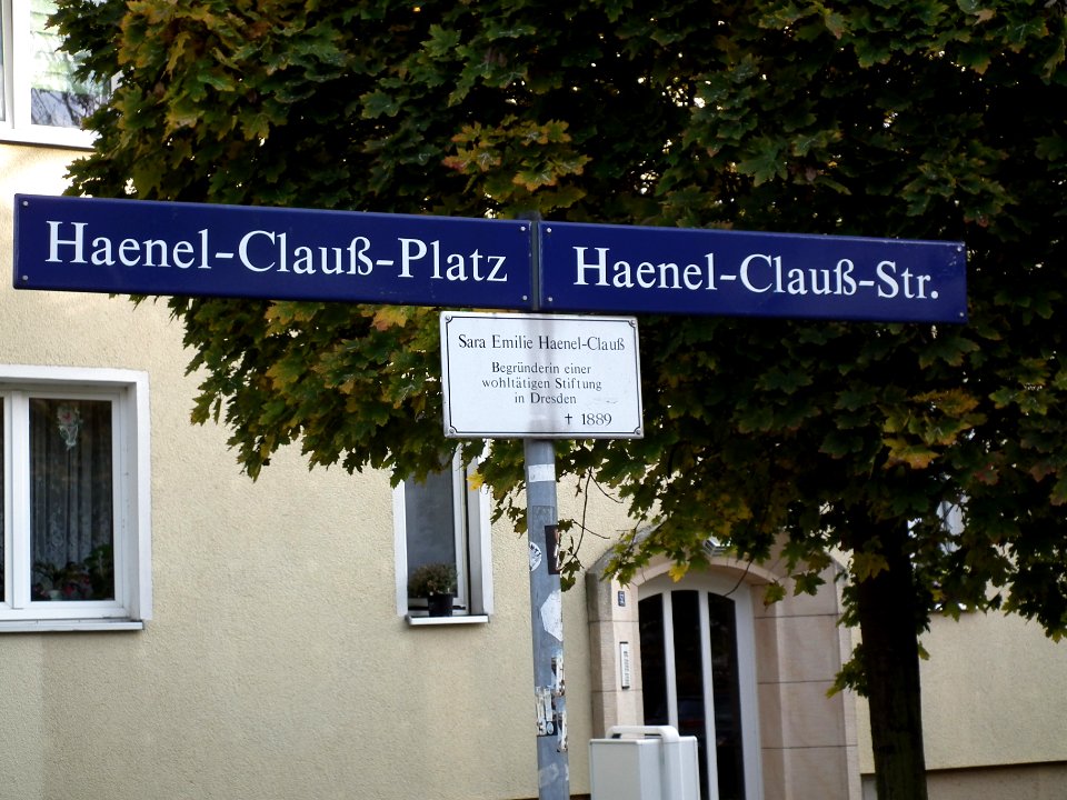 2020-11-14 Haenel-Clauß-Straße, Dresden 04
