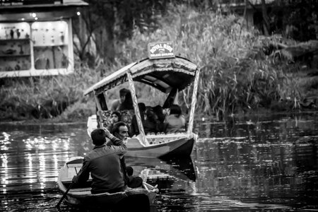 Wallpaper black and white kashmir