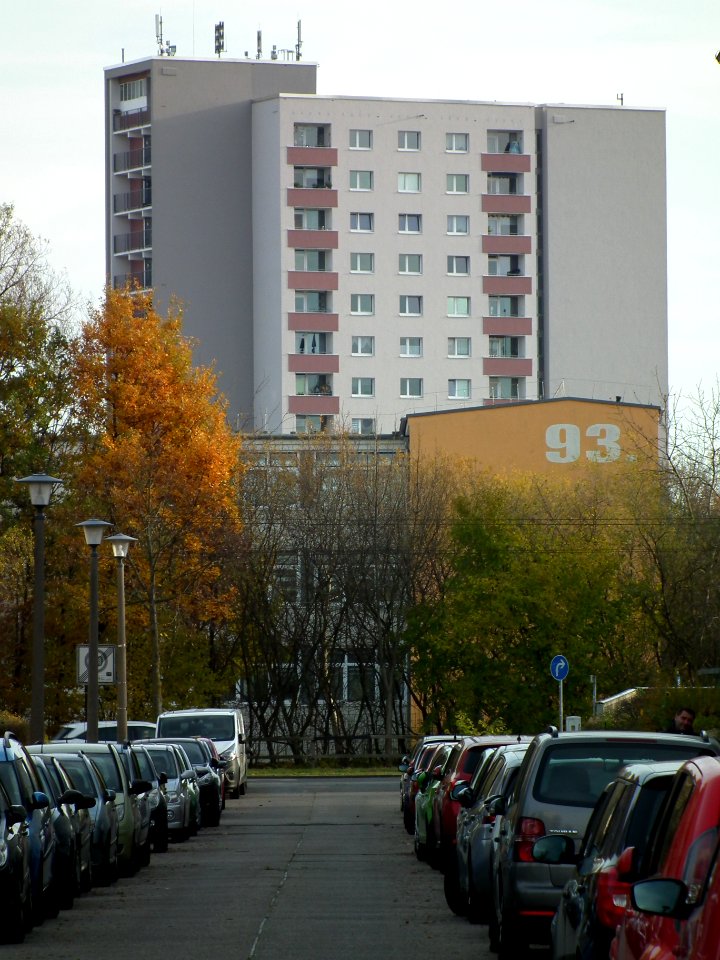 2020-11-18 Franz-Mehring-Straße, Dresden 11