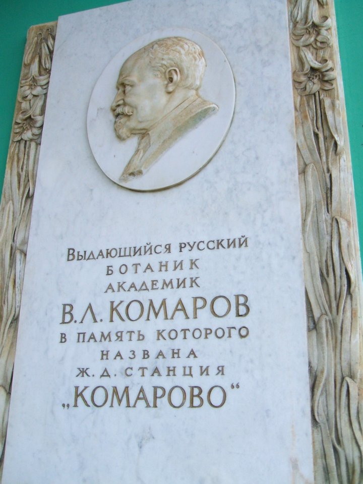 Комарово вокзал
