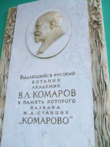 Комарово вокзал