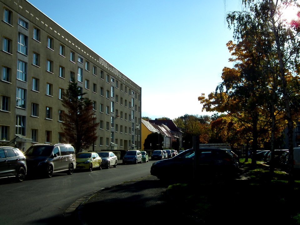 2020-10-24 Schilfweg, Dresden 12