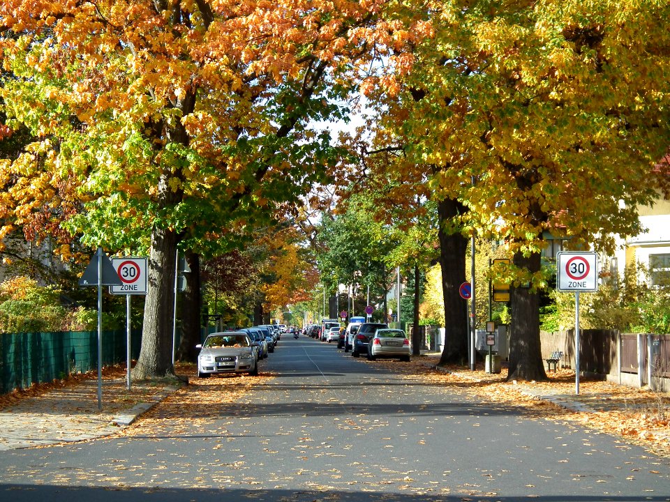 2020-10-24 Kipsdorfer Straße, Dresden 09