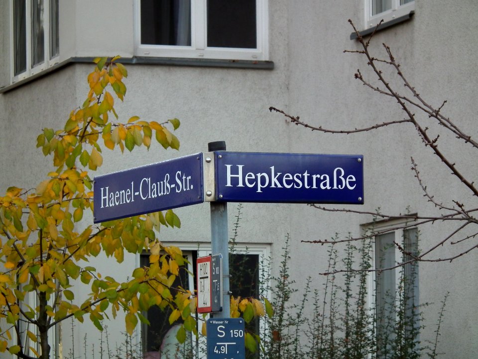 2020-11-18 Hepkestraße, Dresden 01
