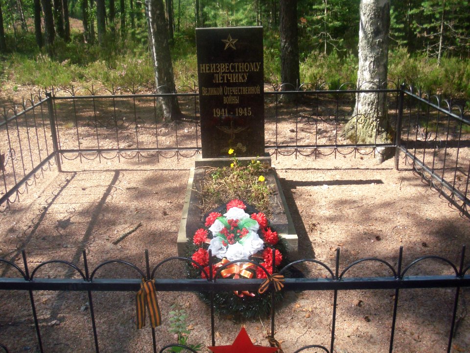 Зеленогорск СПб. Неизвестный лётчик ВОВ