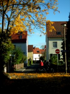 2020-10-24 Steinigtwiesenweg, Dresden 03