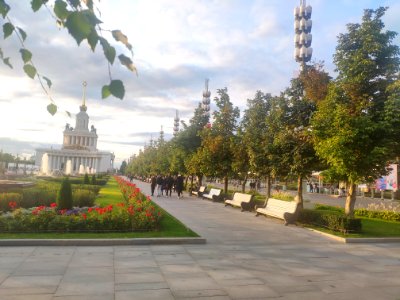 Каштановая роща ВДНХ