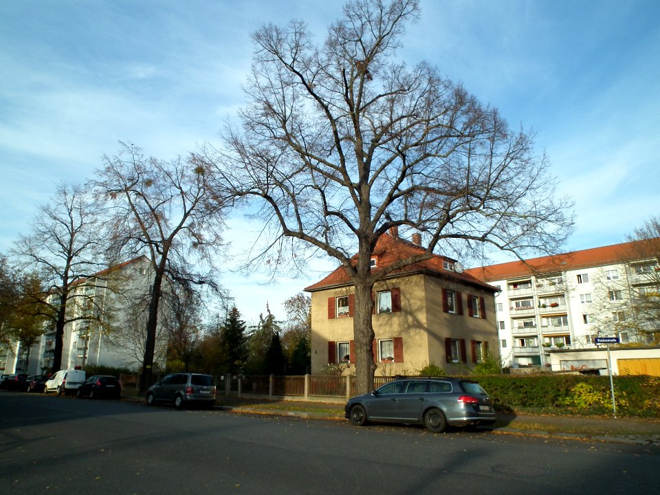 2020-11-18 Kadenstraße, Dresden 12