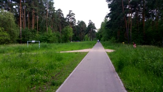 Жулебинский лесопарк (июнь 2016)