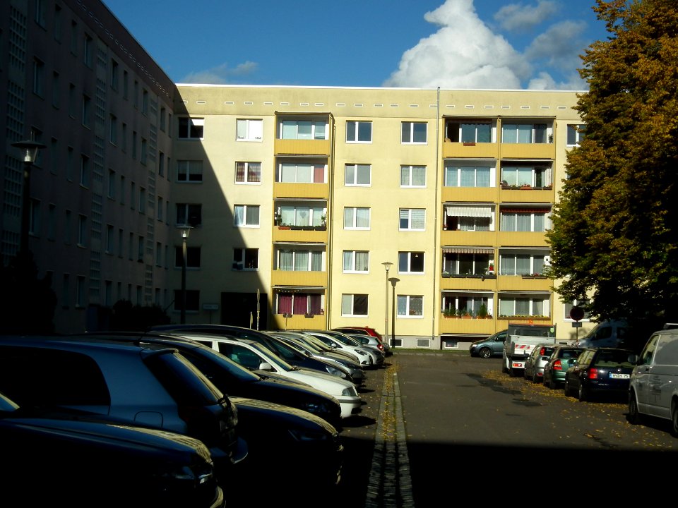 2020-10-24 Schilfweg, Dresden 08