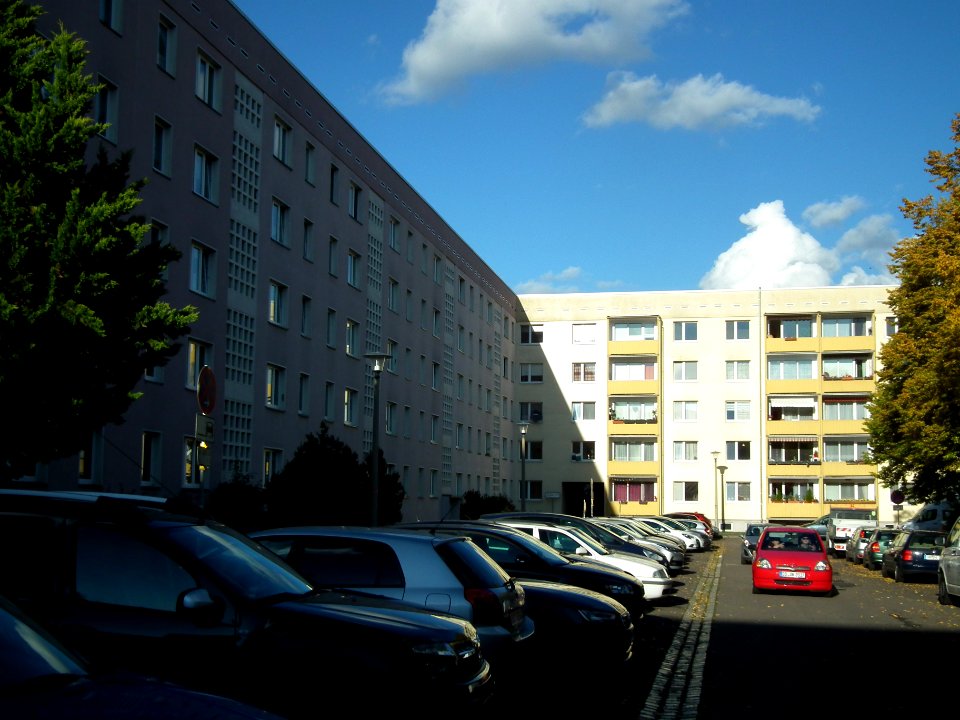 2020-10-24 Schilfweg, Dresden 07