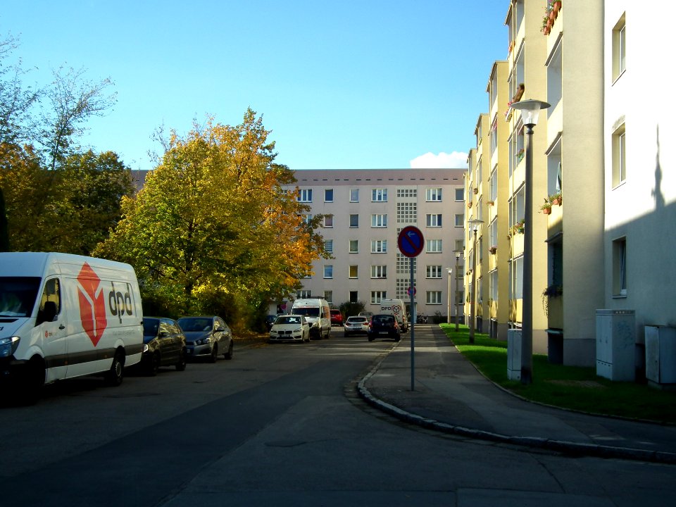 2020-10-24 Schilfweg, Dresden 05