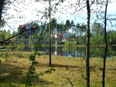 Ленинское Лен.обл. Мёртвое озеро