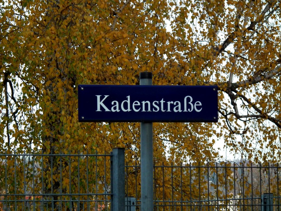2020-11-18 Kadenstraße, Dresden 01
