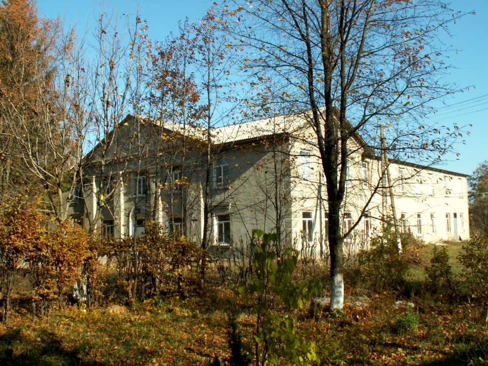 Василівка Тиврівський район 8