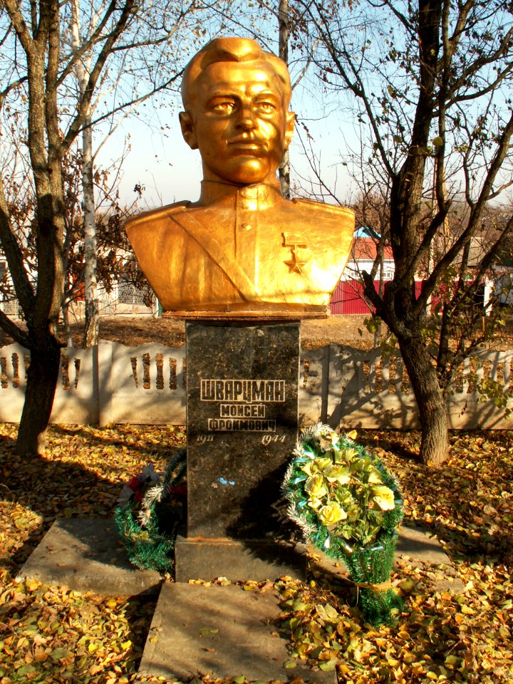 Василівка Тиврівський район 16