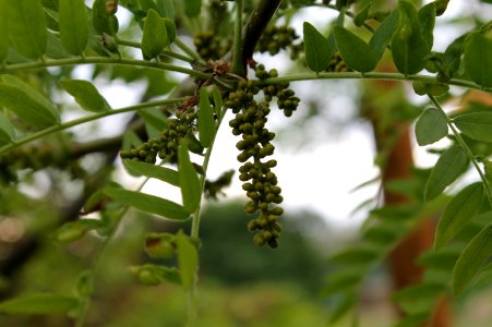 Škola20120514 2056