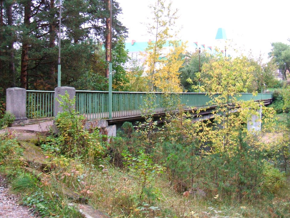 Пешеходный мост Сестрорецкий Курорт Детские Дюны