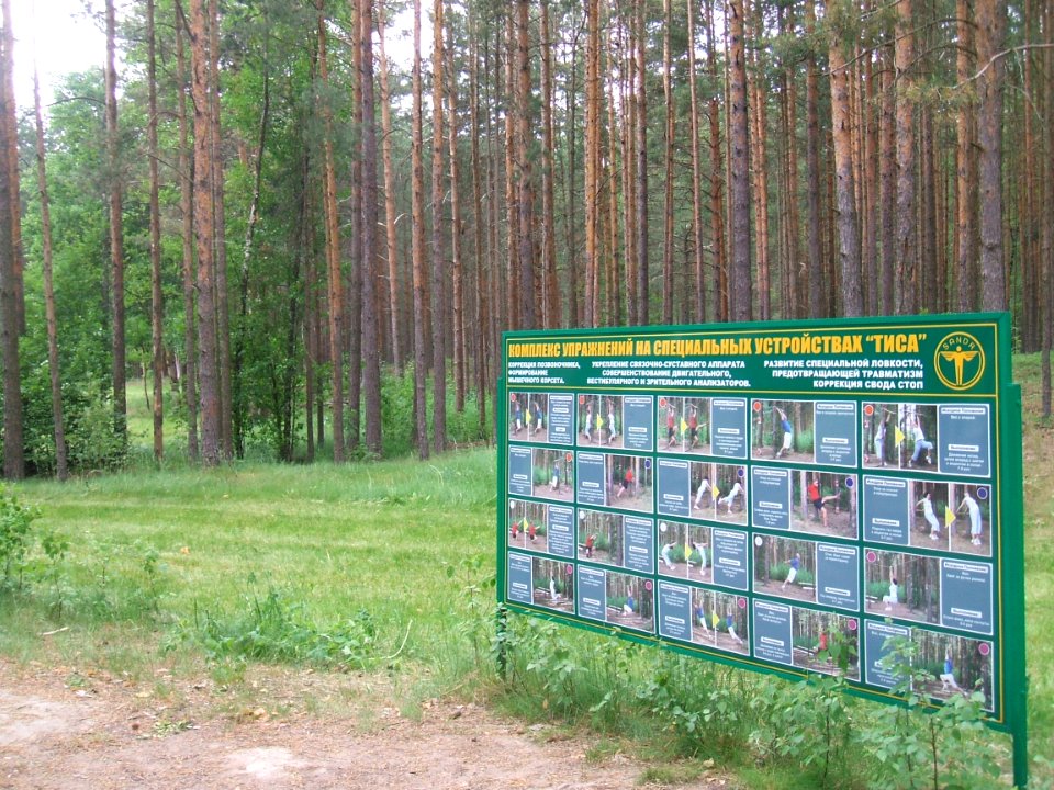 Белые ночи комплекс Тиса
