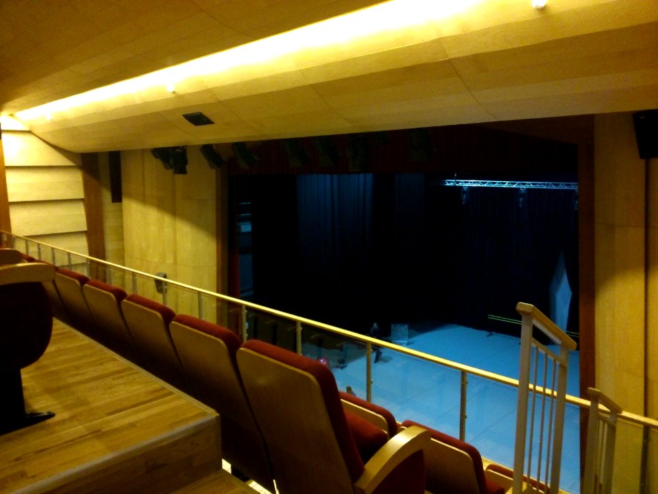 Šokio teatras, Čiurlionio mokykla
