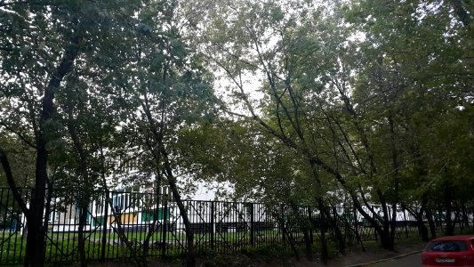 Школа 814, СП ДО 798 (детский сад №798)