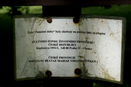 Štěkeňské duby 06
