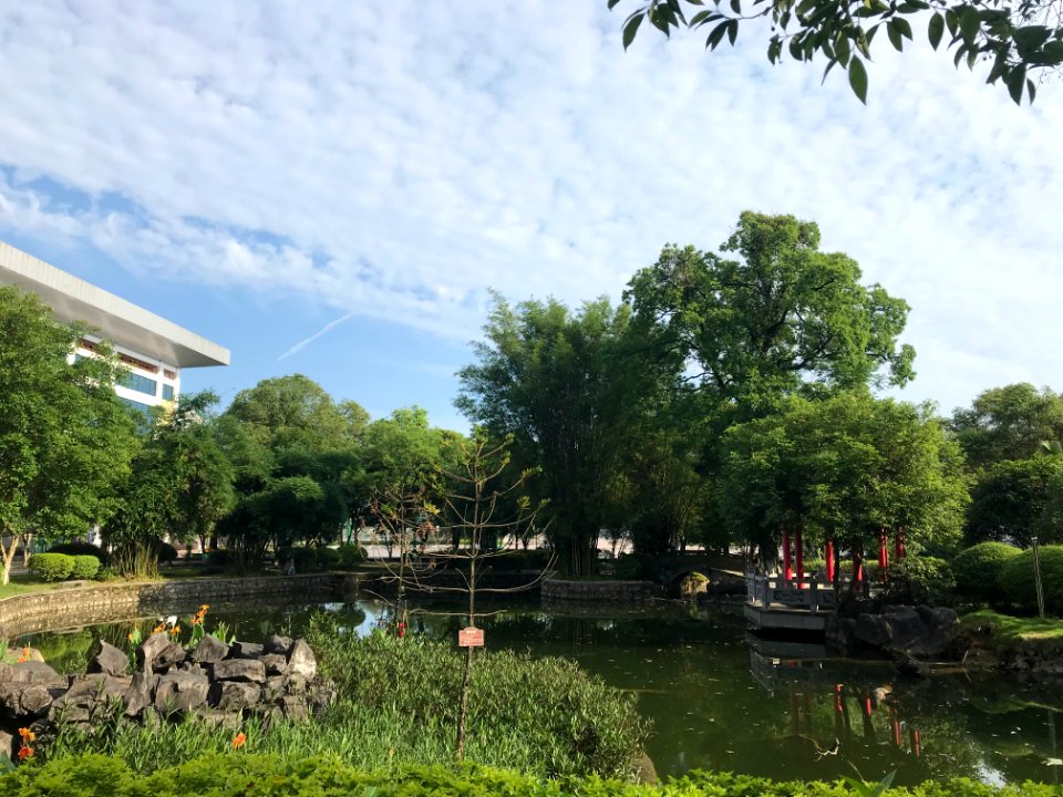 桂林市第十八中学高中部未名池