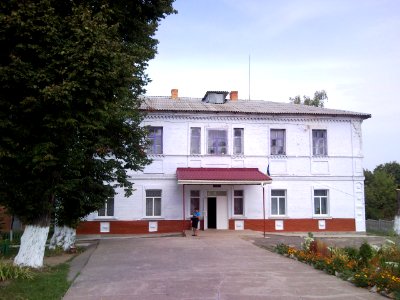 Шершні Школа