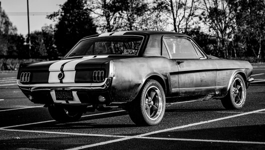 Ford mustang ford mustang