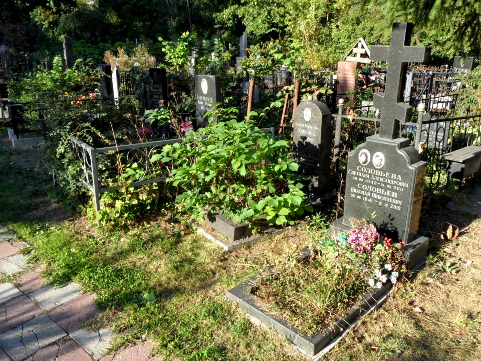Могила Хавкиной Любови Борисовны 3