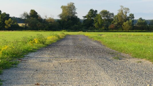 Lane trail landscape way
