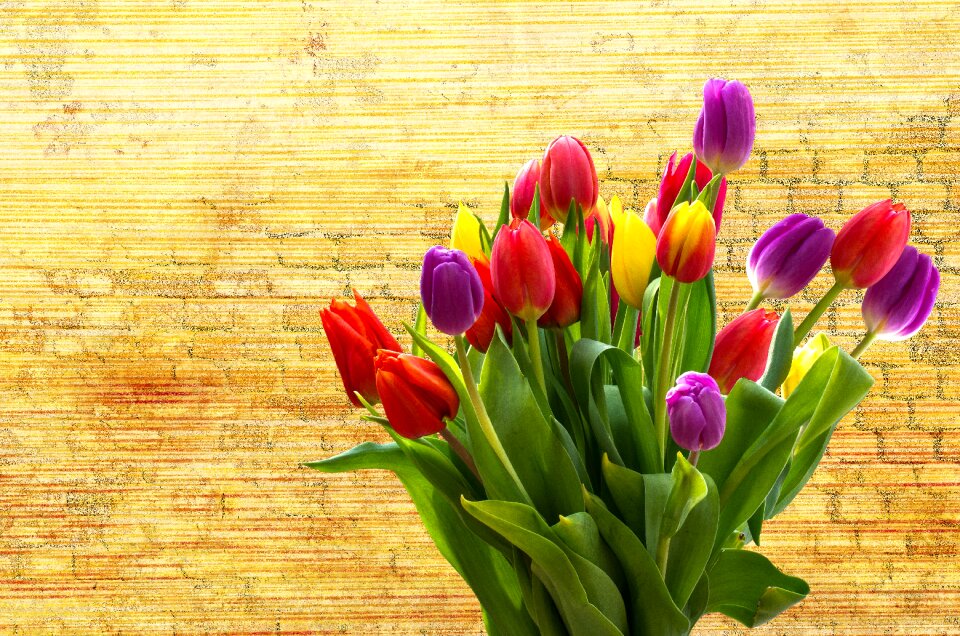 Easter plant spring