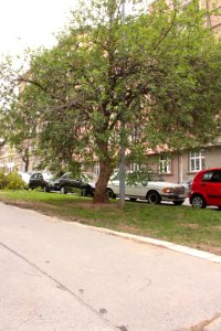 5.díl html m57df1107