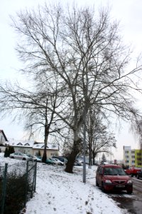 5.díl html m6d577272
