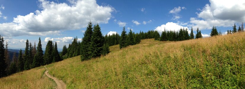 Nature tatry poland