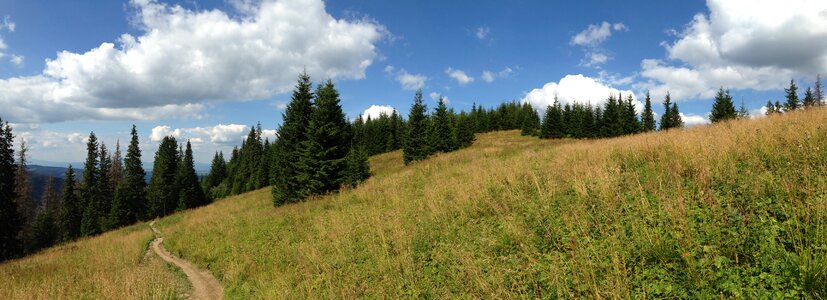 Nature tatry poland photo