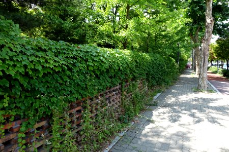 20150724최광모DSC00003