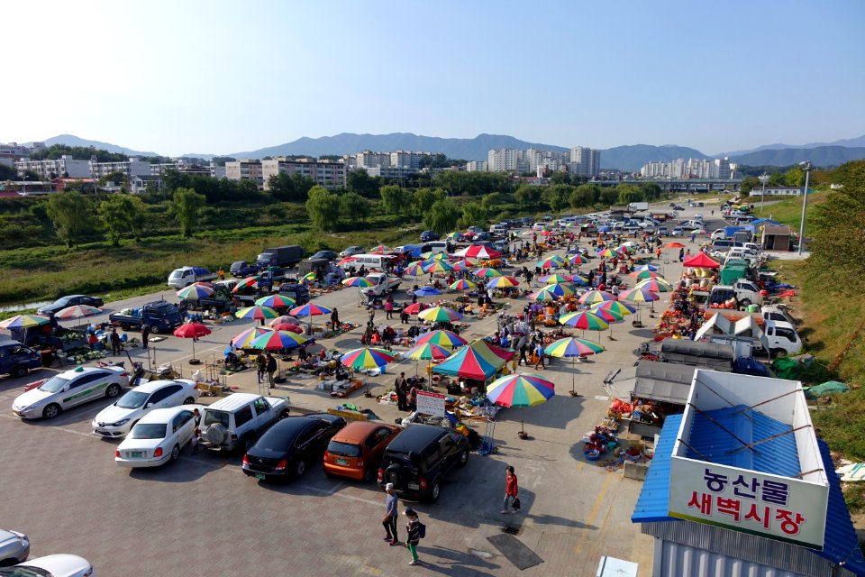 20151006 최광모 SONY DSC-RX10 DSC03708 20151024