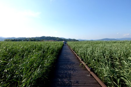 20150808최광모RX10DSC01741
