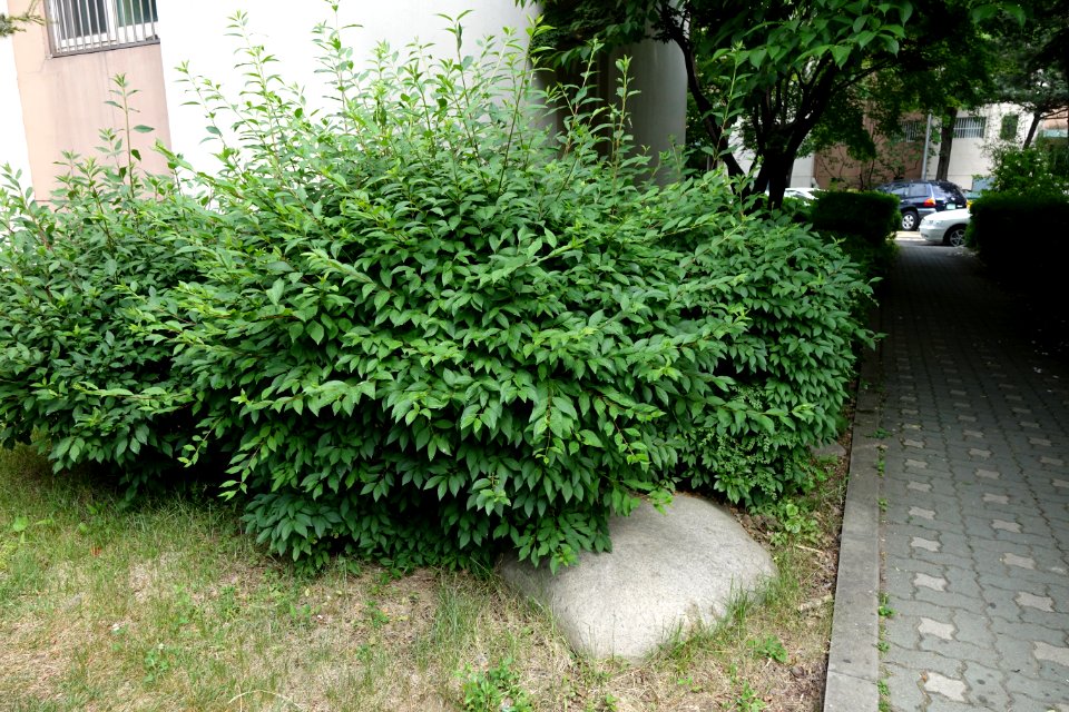 20150608최광모DSC00885