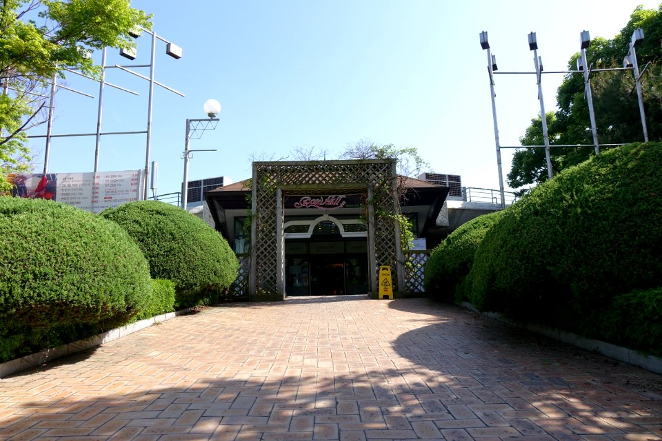 20150508과천시 장미의언덕DSC00063