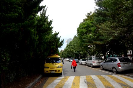 20151004 최광모 SONY DSC-RX10 DSC03653 20151024