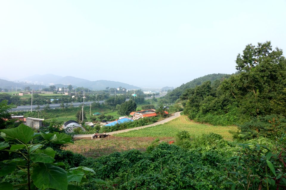 20150816최광모RX10DSC01923