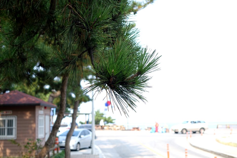 20151008 최광모 SONY DSC-RX10 DSC03774 20151024