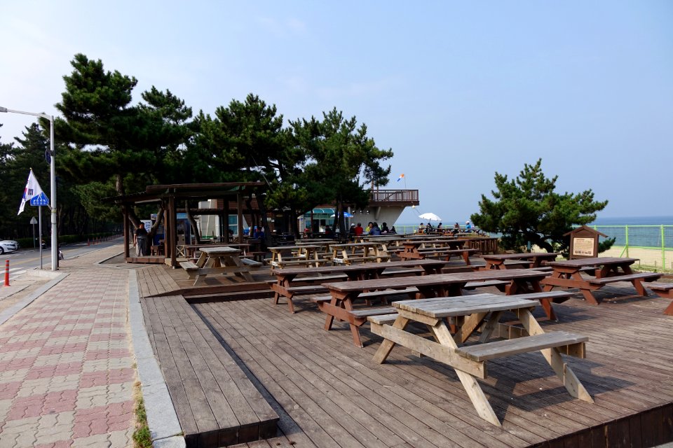 20151008 최광모 SONY DSC-RX10 DSC03765 20151024