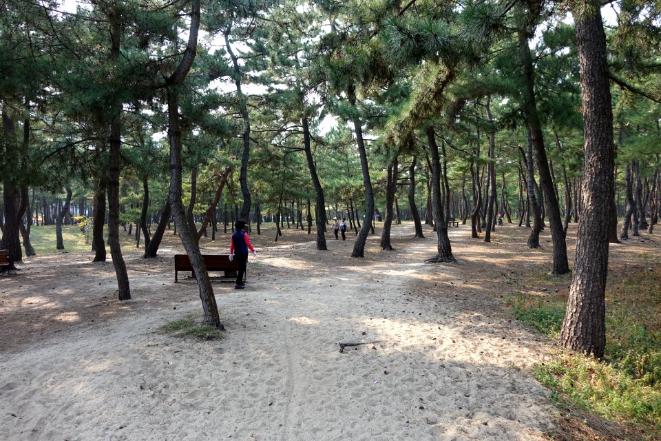 20151008 최광모 SONY DSC-RX10 DSC03767 20151024