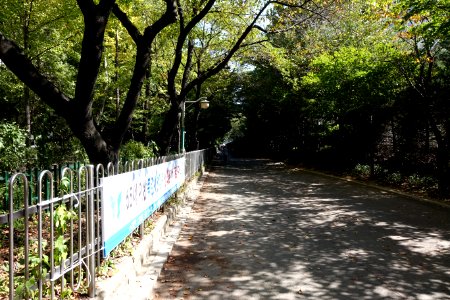 20151003최광모RX10DSC03547