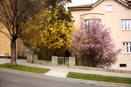 1.díl html ef9a295