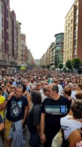 1013 Sumarioa - Manifestazioa - Bilbo